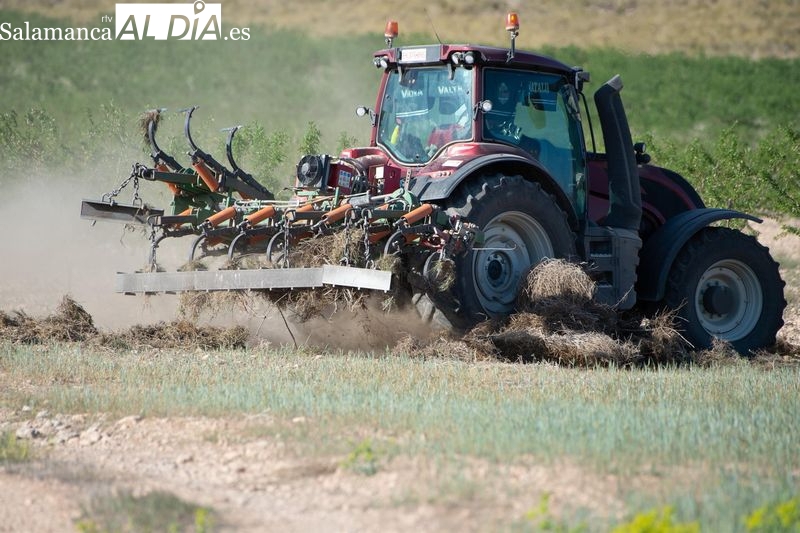 Siembra de cereal en Salamanca se desploma por clima y costes