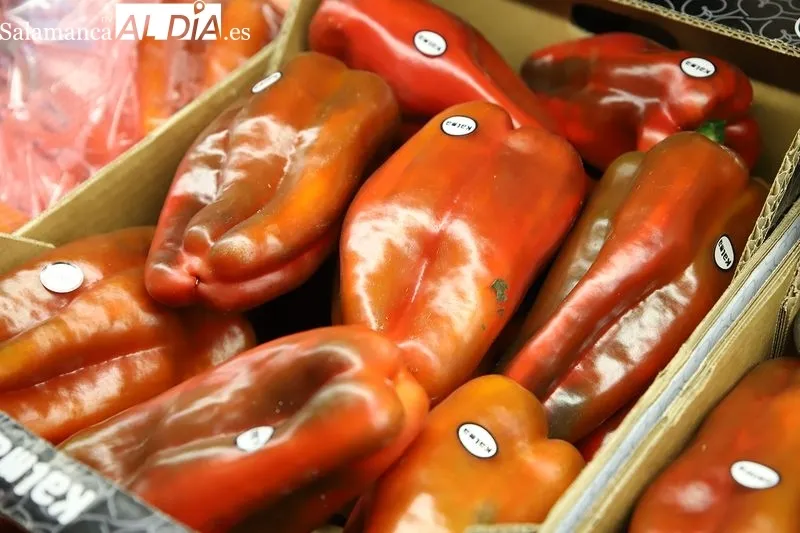 Foto 5 - Richard P&eacute;rez abre Fruter&iacute;a Tejedor en la calle Benitas de Alba de Tormes