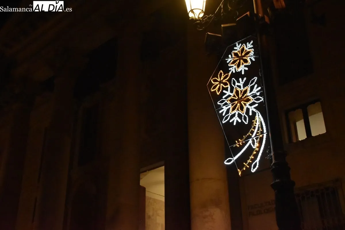 Iluminación y adornos de Navidad en Salamanca. Fotos: Vanesa Martins