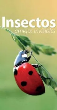 Foto 2 - La Casa de las Conchas ofrece una semana debates de ecolog&iacute;a, teatro y talleres 