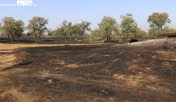 Jornada sobre incendios y dehesa en Villavieja de Yeltes