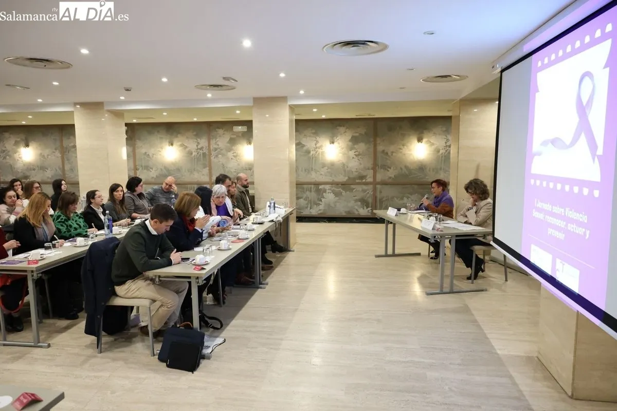 La Asociación de Ayuda a la Mujer “Plaza Mayor” ha organizado en Salamanca la 1ª Jornada sobre Violencia Sexual: reconocer, actuar y prevenir. Foto de David Sañudo