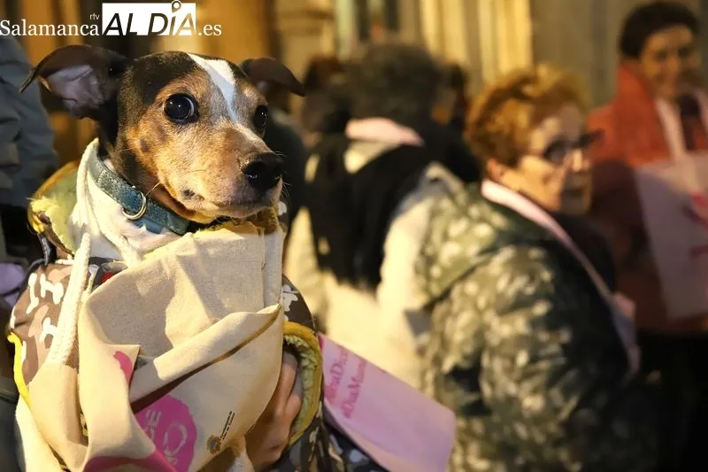 Foto 6 - Un grito un&aacute;nime en Alba de Tormes: 'No m&aacute;s violencia, no m&aacute;s silencio' en la v&iacute;spera del 25N