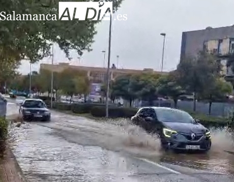 Reventón de agua en la avenida de Los Maristas