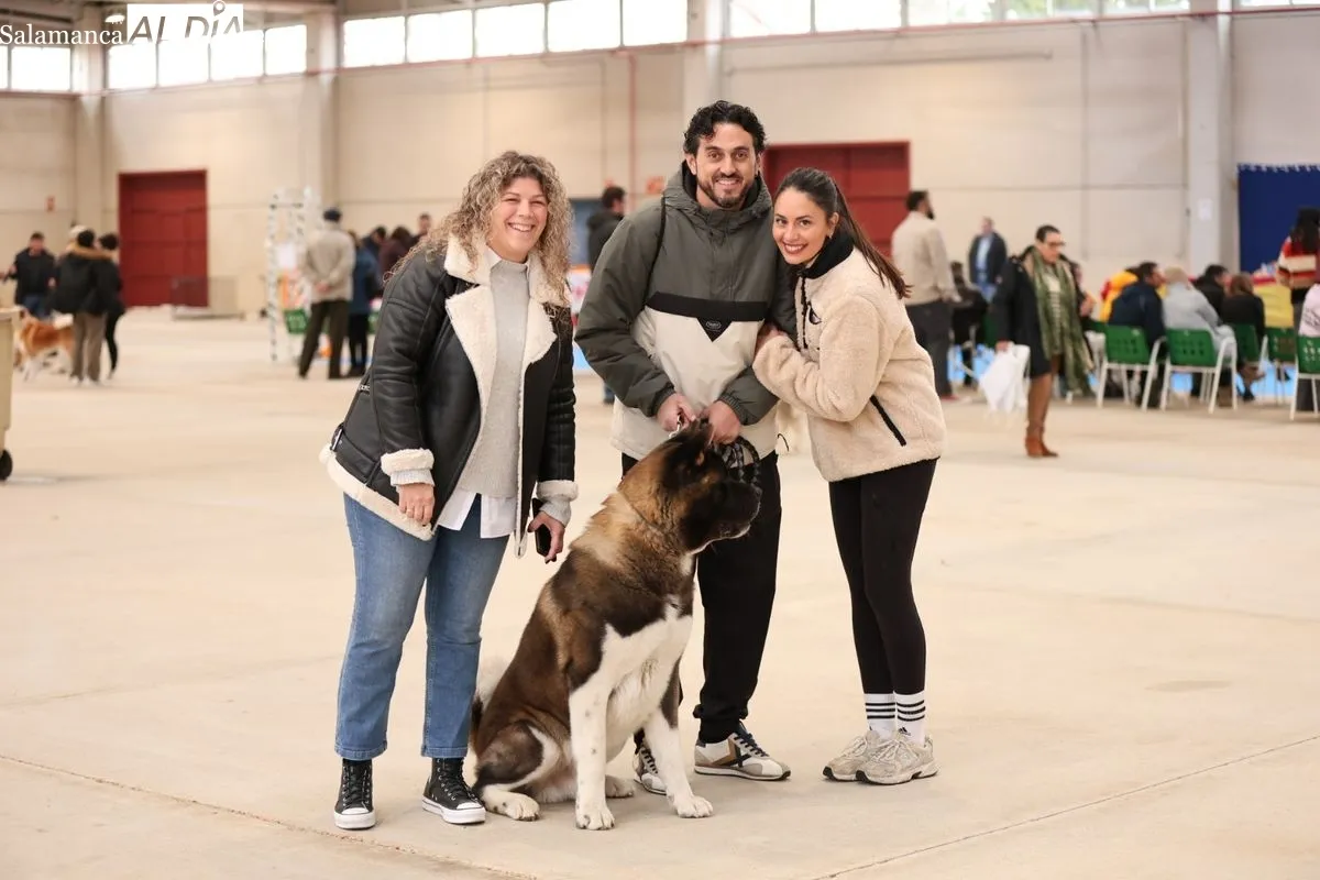 XLII Exposición Monográfica de perros nórdicos en Salamanca | FOTOS: David Sañudo 