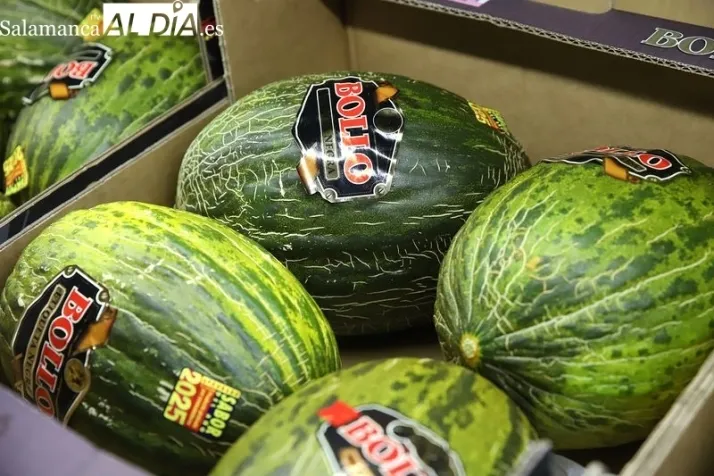 Richard P&eacute;rez abre Fruter&iacute;a Tejedor en la calle Benitas de Alba de Tormes | Imagen 3