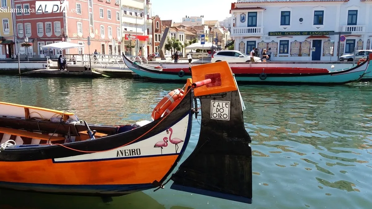 'Moliceiros' en la ría de Aveiro (Portugal) | MARTÍN-GARAY