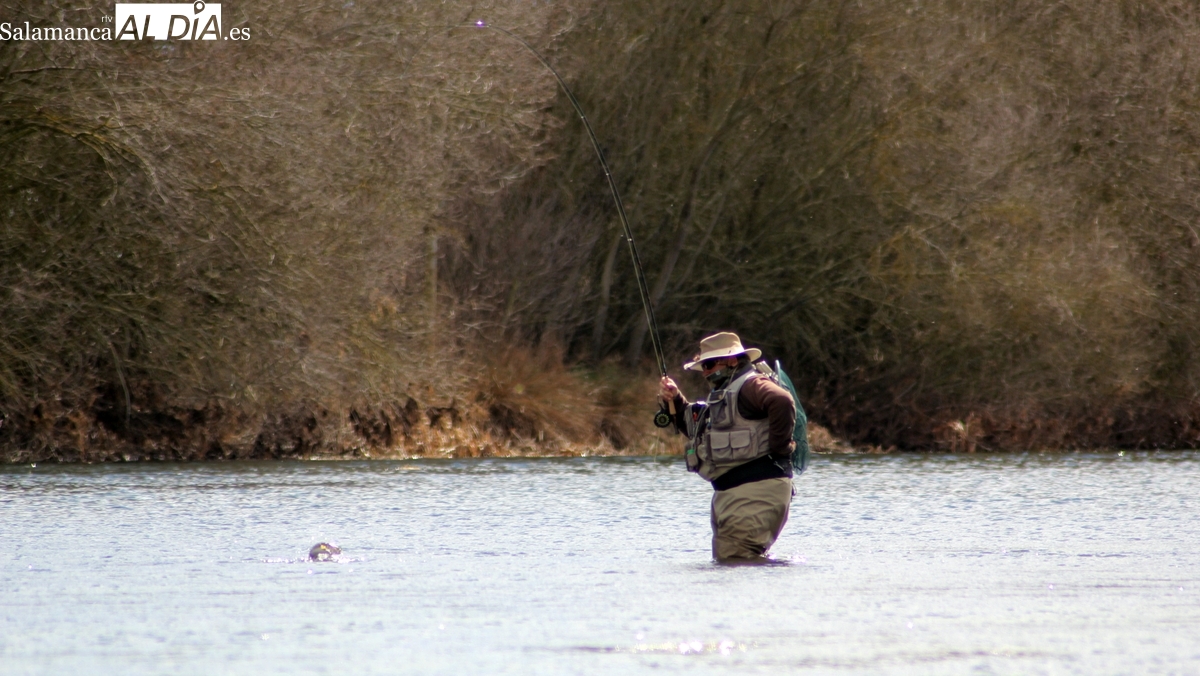 Permisos de pesca en Castilla y León 2026: cómo pedirlos
