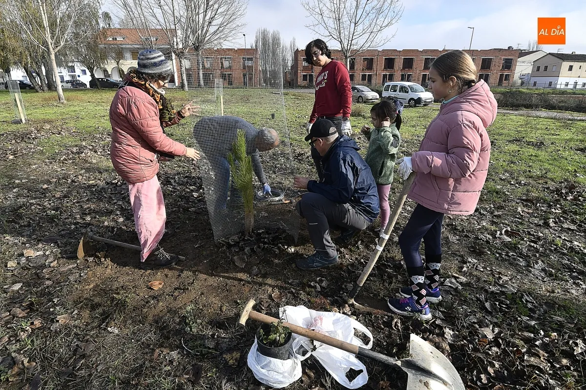 Foto 5 - ASENAVIS impulsa la reforestaci&oacute;n del Regato de Bod&oacute;n con pinos pi&ntilde;oneros