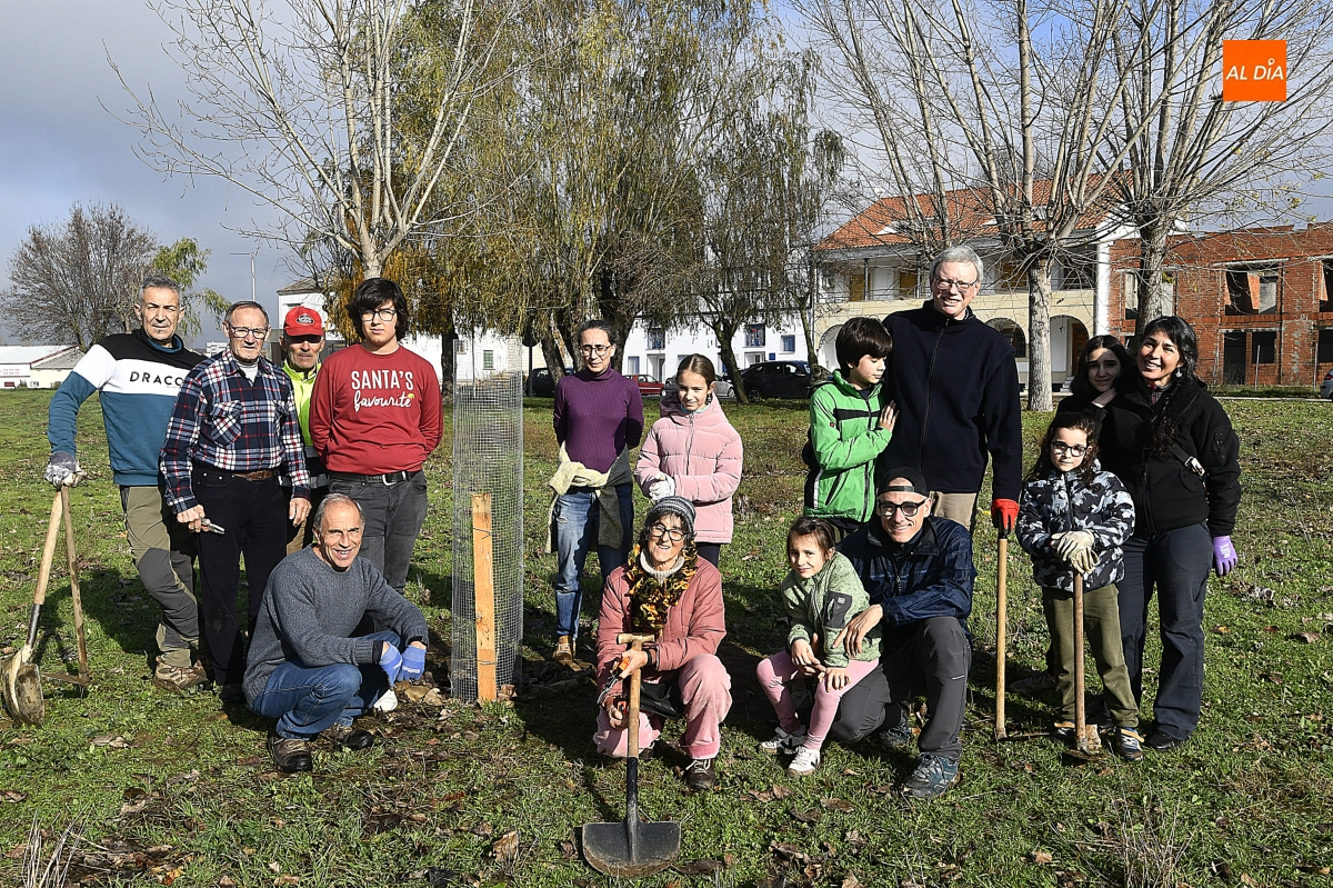 ASENAVIS planta pinos piñoneros 