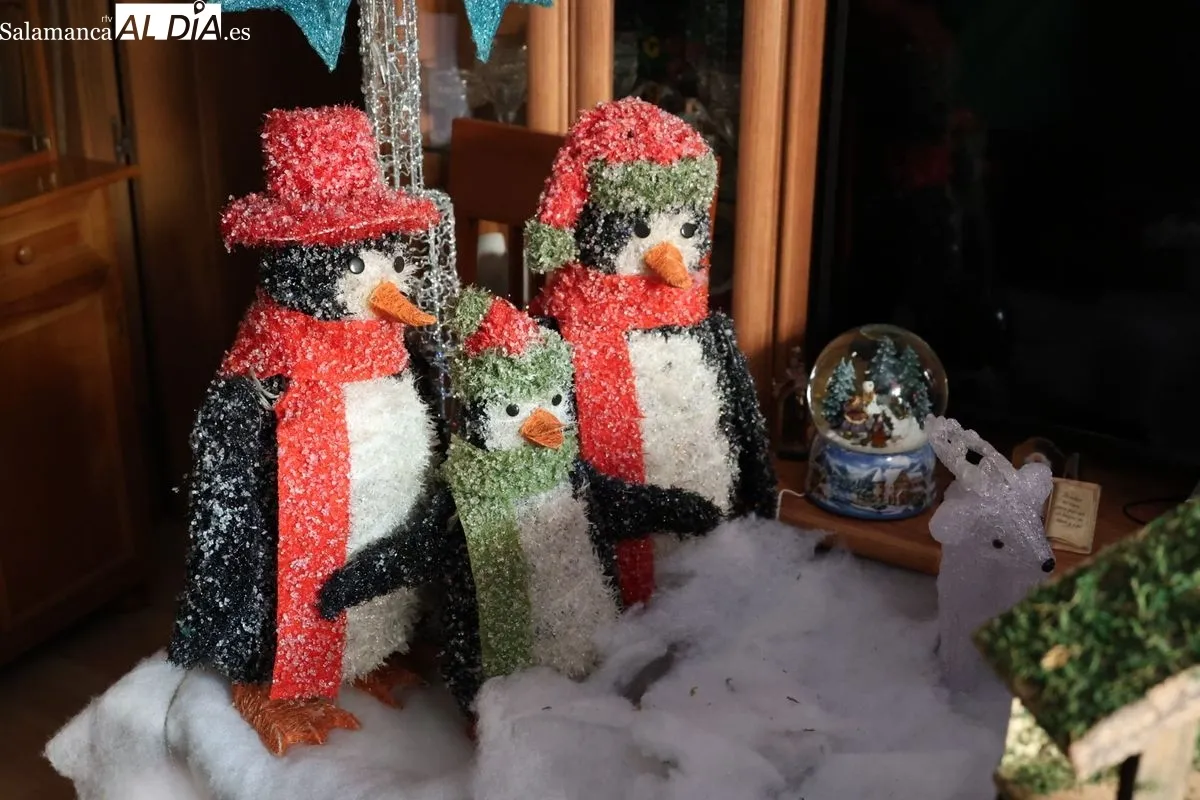 Imágenes del Belén 'Las ventanas navideñas', en la vivienda de Teo y Concha, en la avenida de Portugal de Salamanca. Fotos: David Sañudo