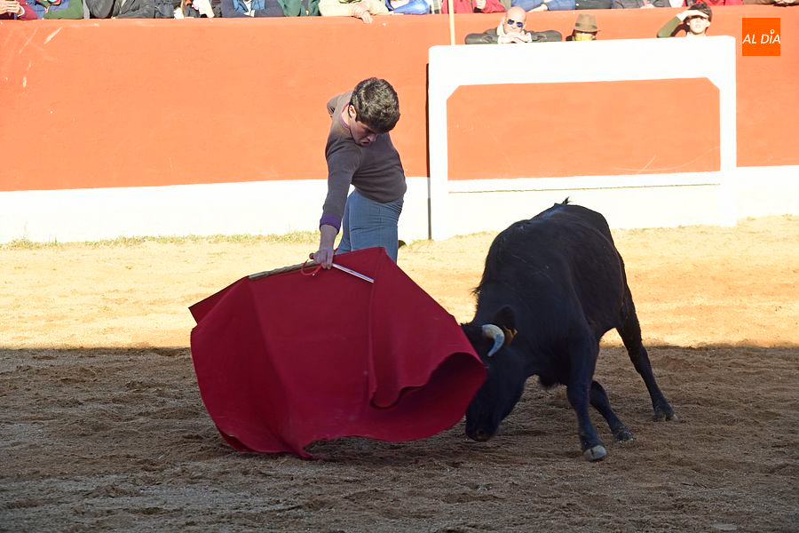 Bolsín Taurino 2026: lista de los 50 aspirantes admitidos