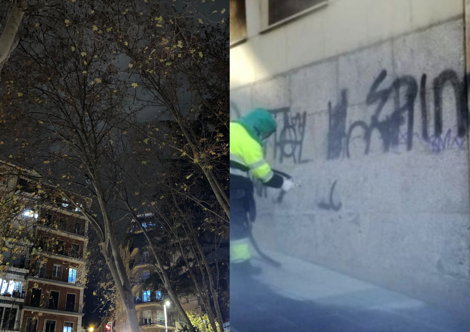 Limpieza Salamanca: estorninos y grafitis, el gran reto
