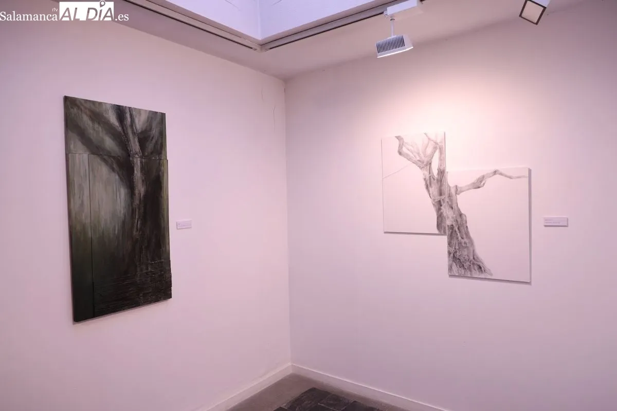 La artista bejarana Purificación del Bosque expone sus 'Soledades' en Salamanca. Foto de David Sañudo