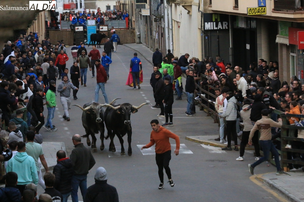 Programa de Navidad en Vitigudino: toros y actividades