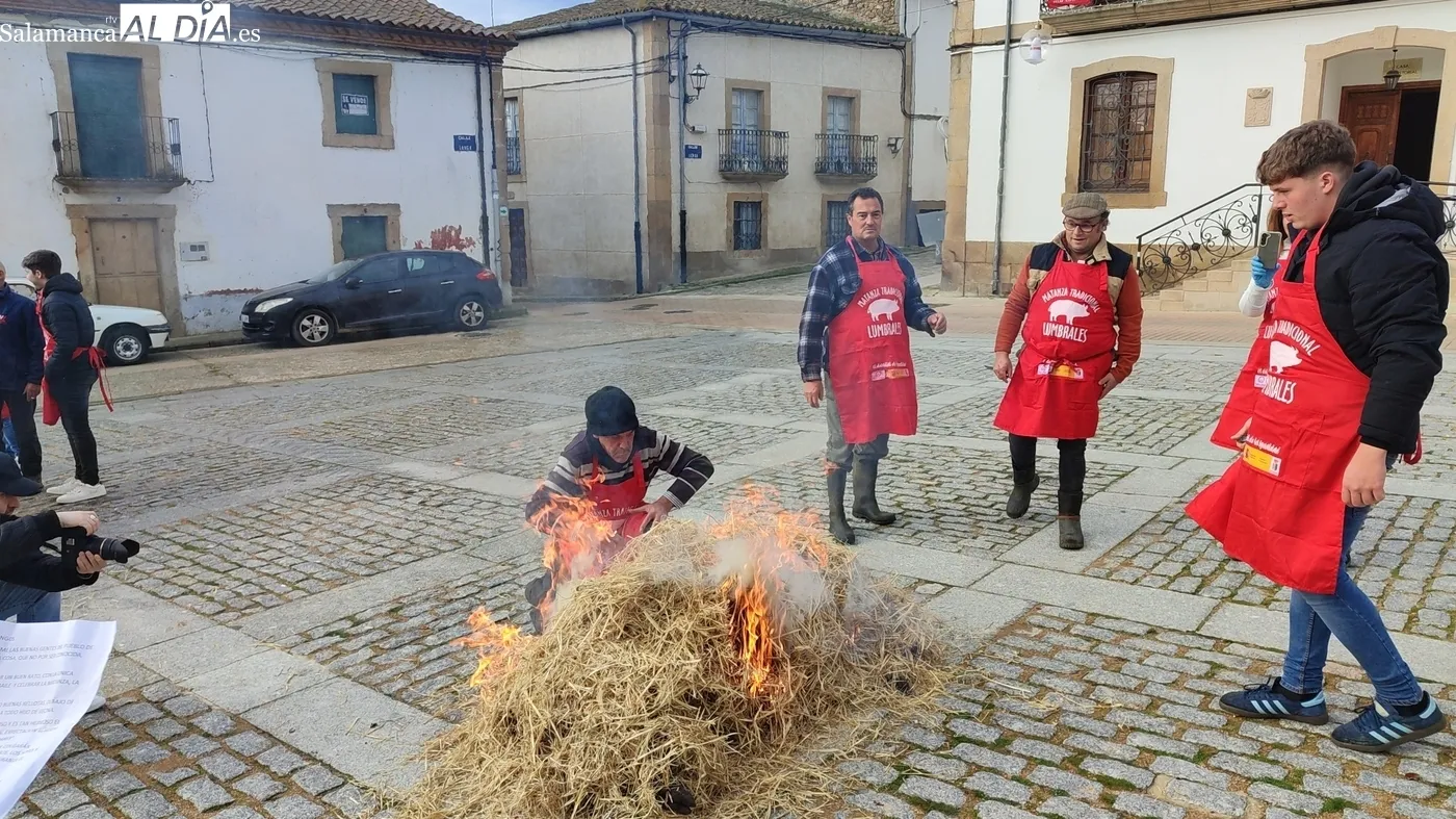 Matanza Tradicional en Lumbrales / CORRAL 