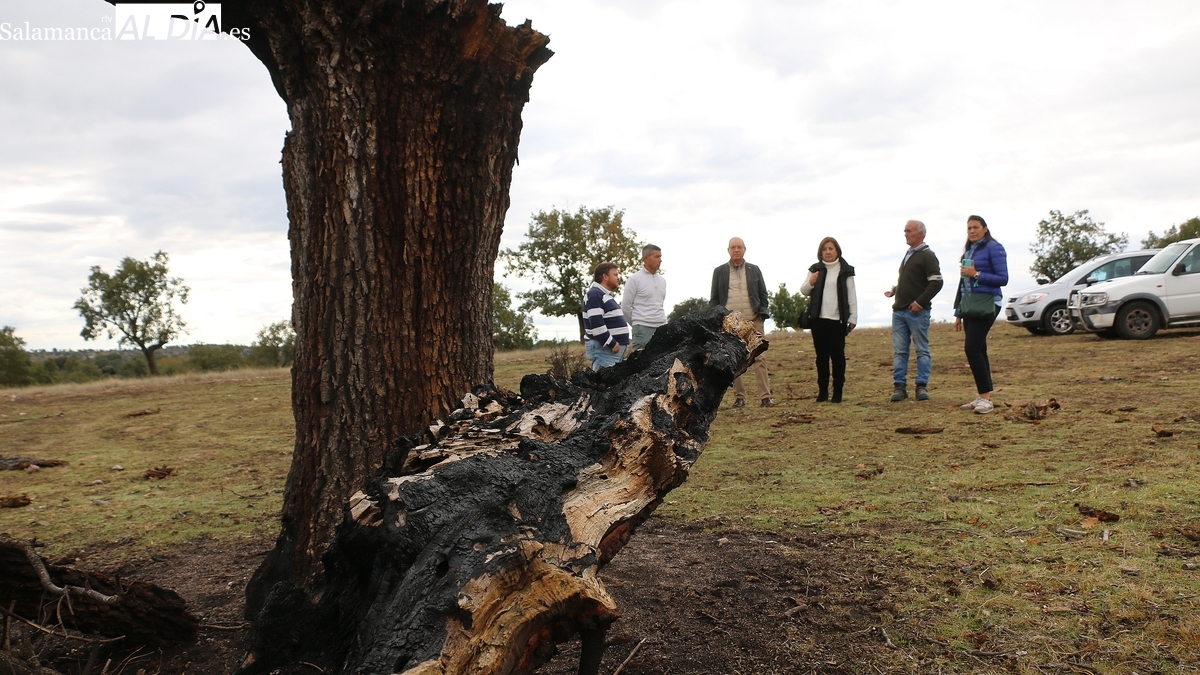 Ayudas a agricultores de Salamanca por los incendios
