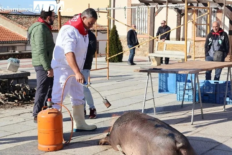 Foto 7 - Galinduste inaugura su matanza tradicional con Matilde Olarte como Matancera de Honor