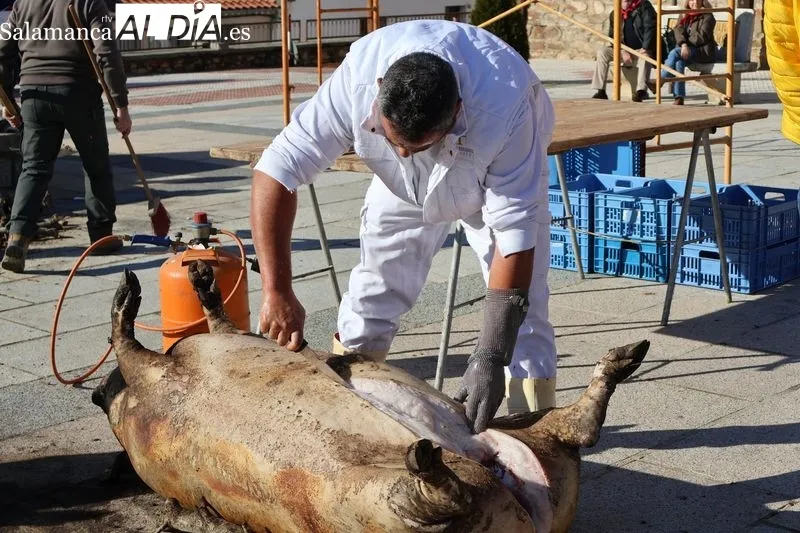 Foto 6 - Galinduste inaugura su matanza tradicional con Matilde Olarte como Matancera de Honor