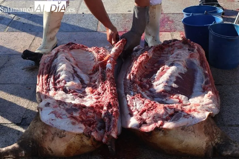 Foto 3 - Galinduste inaugura su matanza tradicional con Matilde Olarte como Matancera de Honor