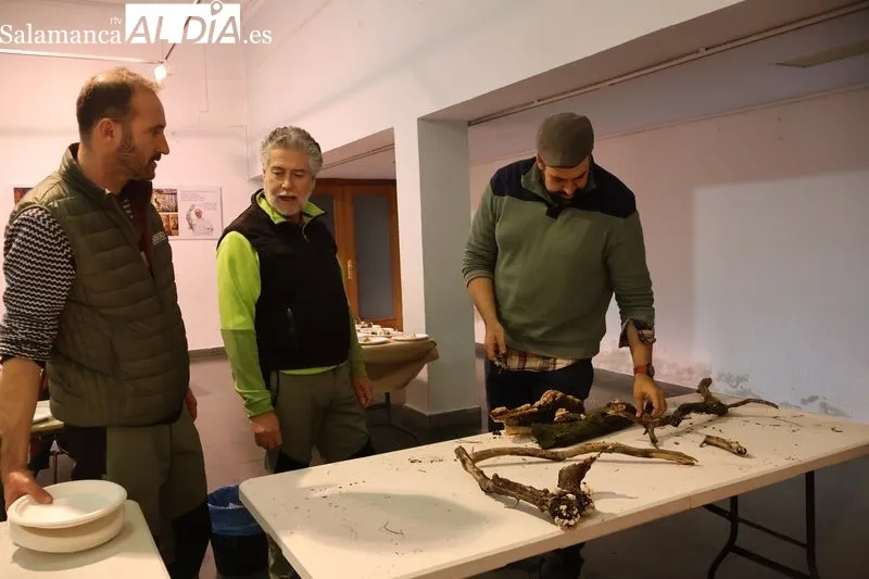 Foto 4 - El Taller de Identificaci&oacute;n de Setas re&uacute;ne a vecinos y expertos en el Ayuntamiento de Alba de Tormes