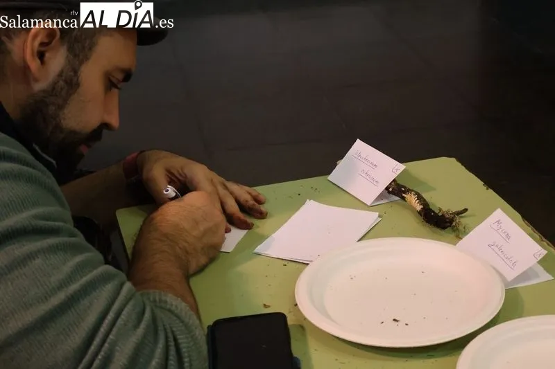 Foto 3 - El Taller de Identificaci&oacute;n de Setas re&uacute;ne a vecinos y expertos en el Ayuntamiento de Alba de Tormes