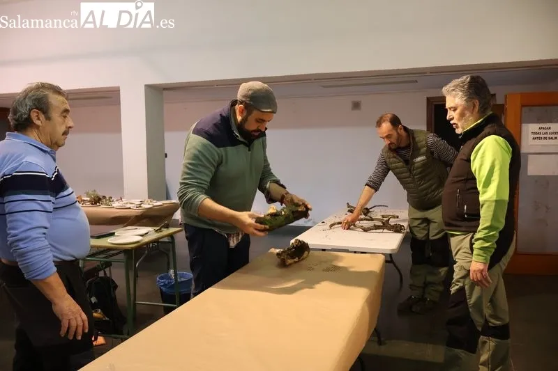 Foto 2 - El Taller de Identificaci&oacute;n de Setas re&uacute;ne a vecinos y expertos en el Ayuntamiento de Alba de Tormes