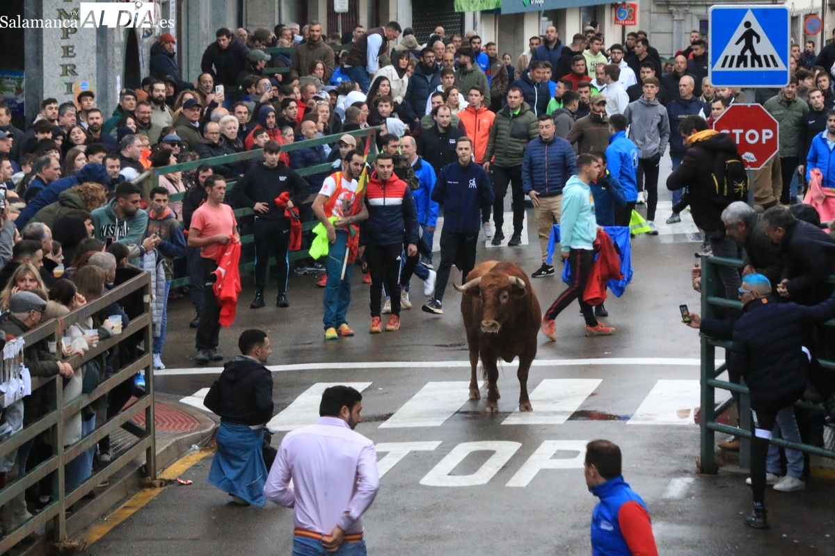 Toro de San Nicolás Vitigudino: éxito con los toros de Orive