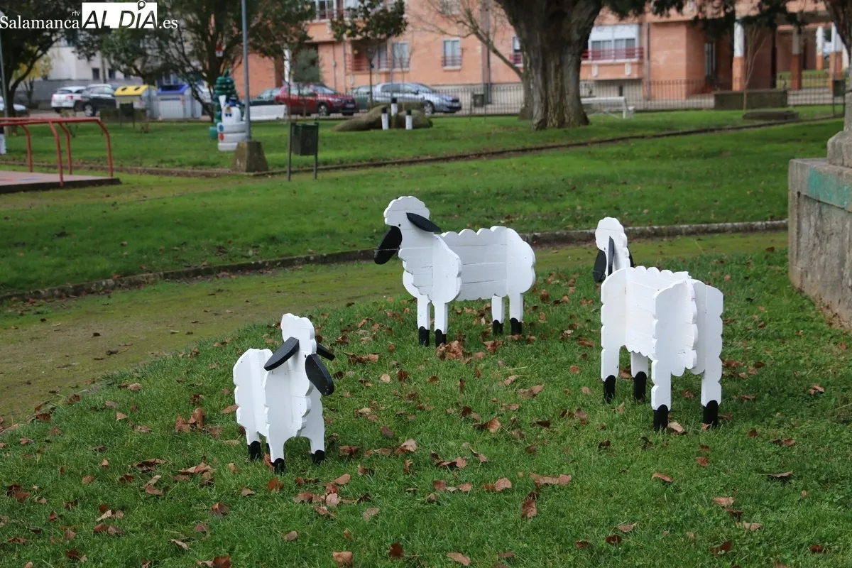 Inauguración de la decoración navideña de Asprodes en Vitigudino / CORRAL