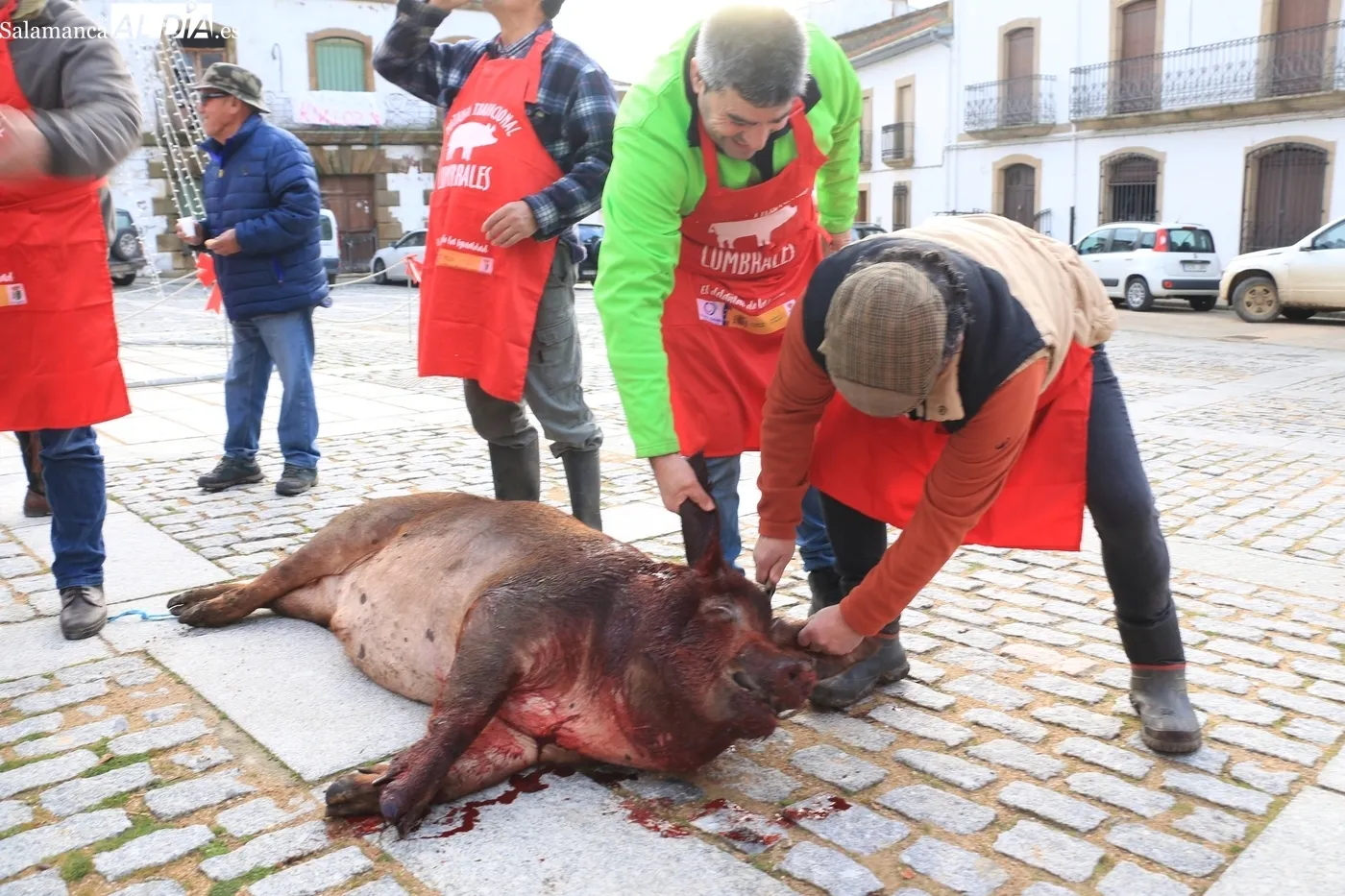 Matanza Tradicional en Lumbrales / CORRAL 