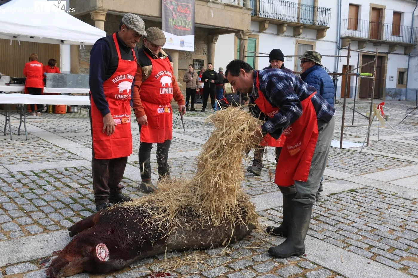 Matanza Tradicional en Lumbrales / CORRAL 