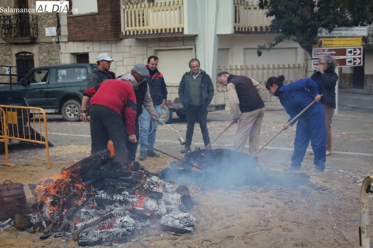 XIV Matanza Típica de Hinojosa de Duero