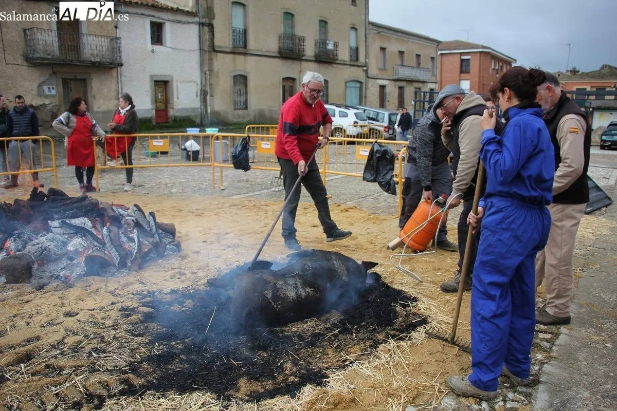 XIV Matanza Típica de Hinojosa de Duero