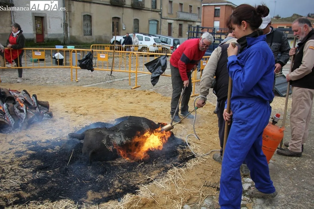 XIV Matanza Típica de Hinojosa de Duero