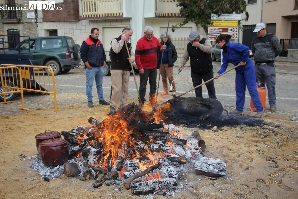XIV Matanza Típica de Hinojosa de Duero