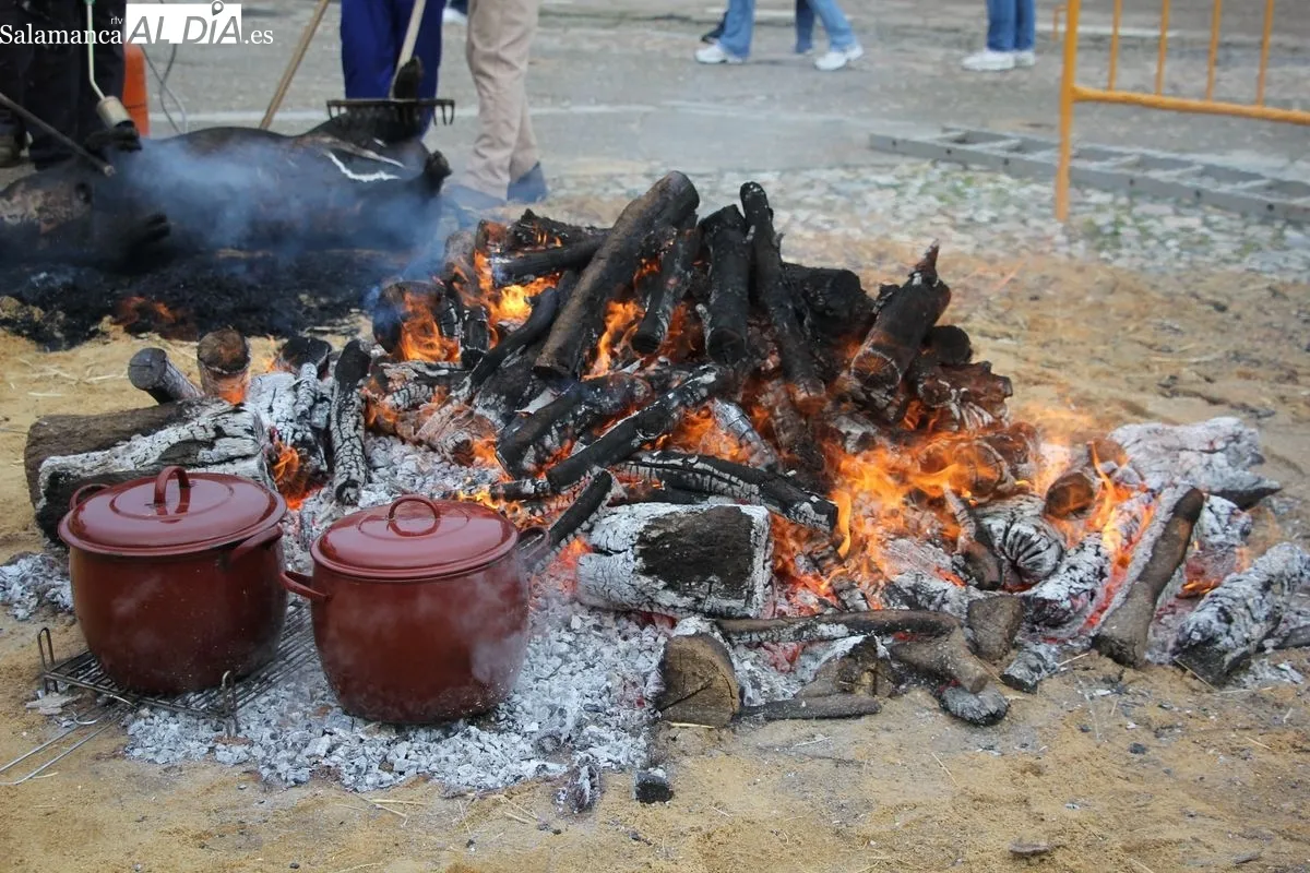 XIV Matanza Típica de Hinojosa de Duero