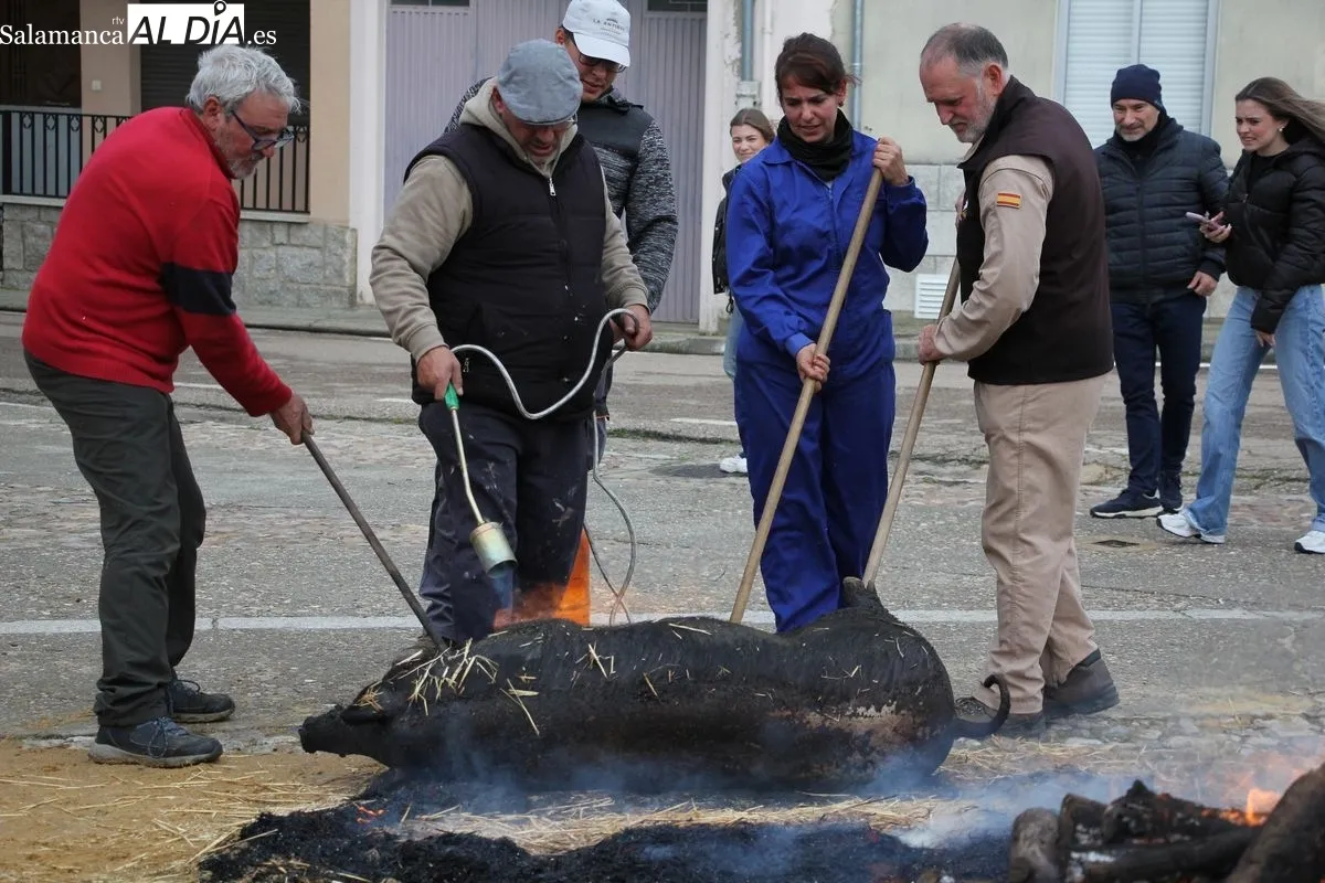 XIV Matanza Típica de Hinojosa de Duero