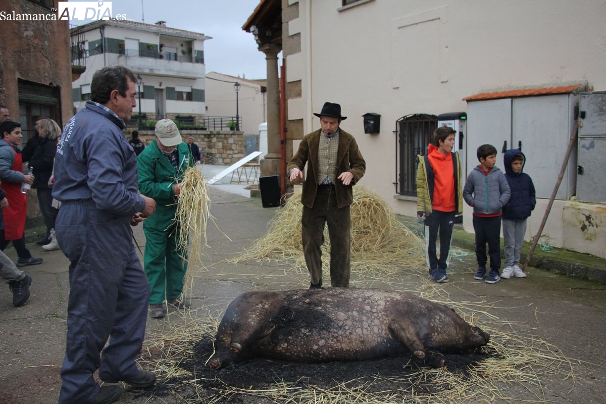 VII Fiesta de la Matanza Tradicional en Sobradillo