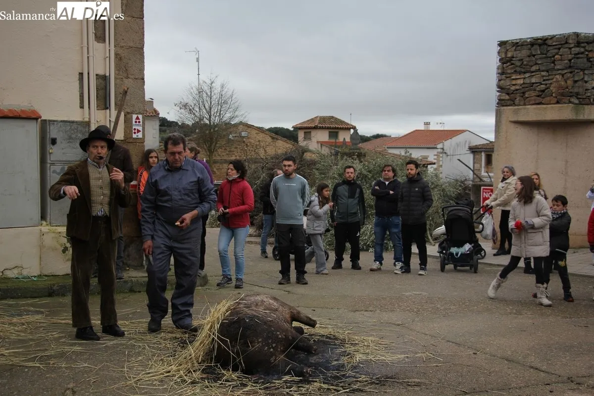 Matanza tradicional en Sobradillo