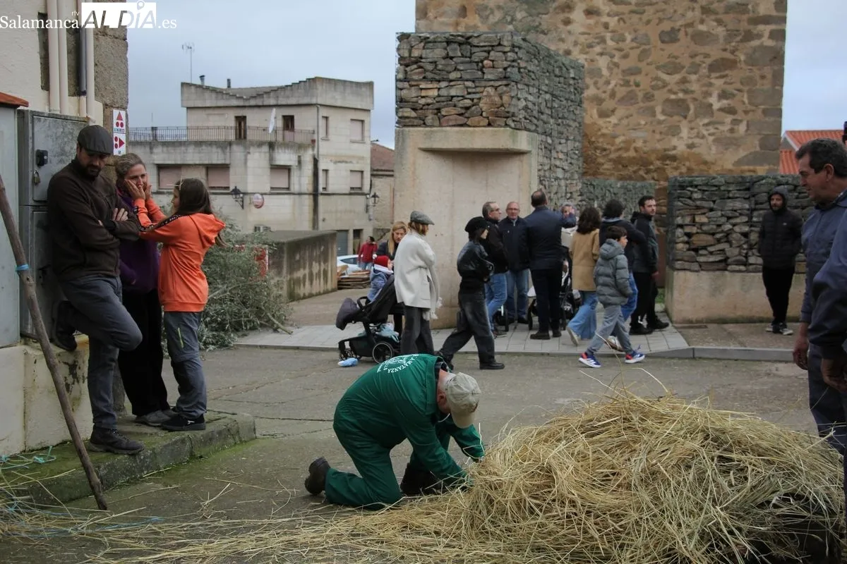 Matanza tradicional en Sobradillo