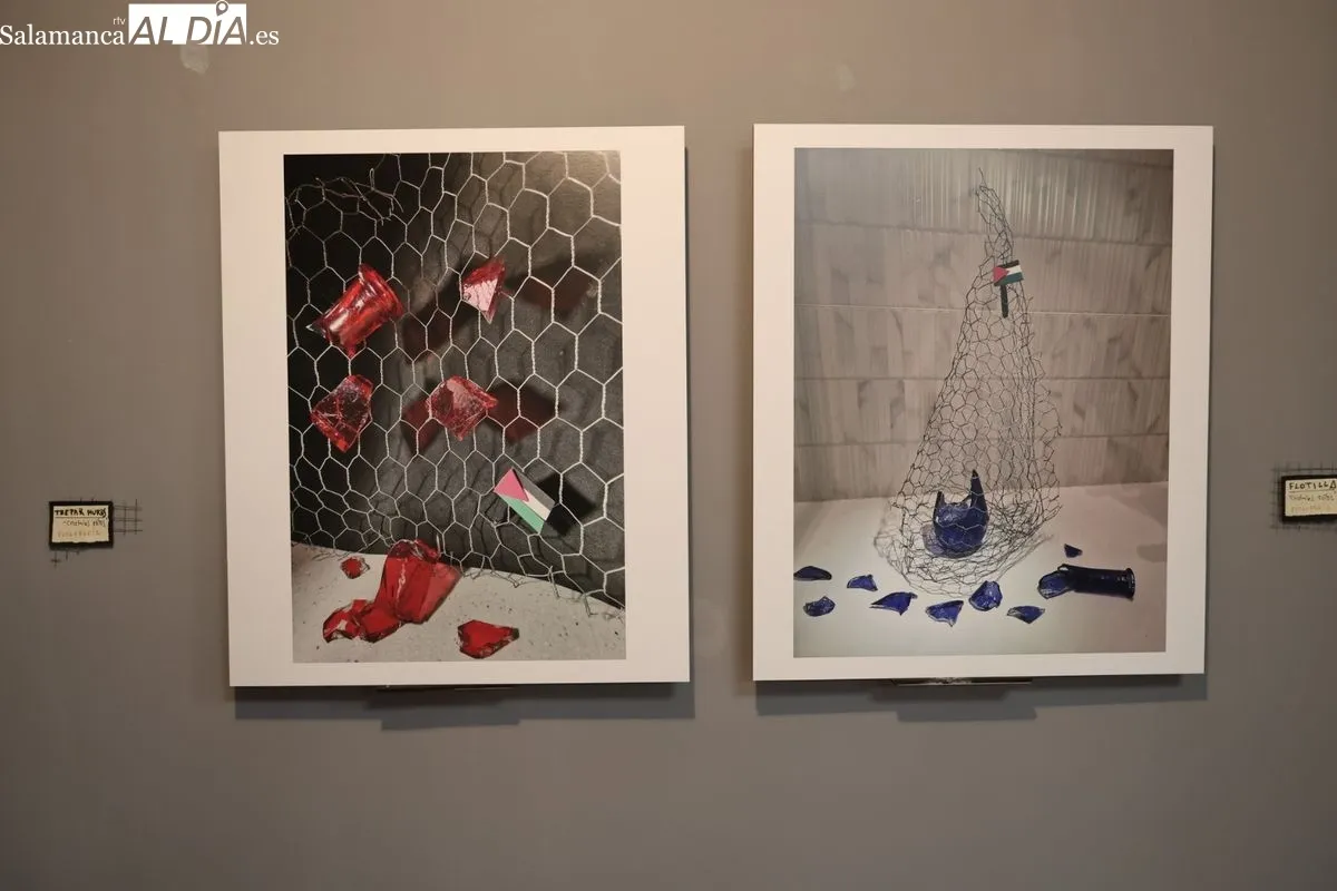 La artista salmantina Lucía Vicente Ezcurra inaugura en el Palacio Episcopal la exposición 'Tempo de renacer'. Foto de David Sañudo