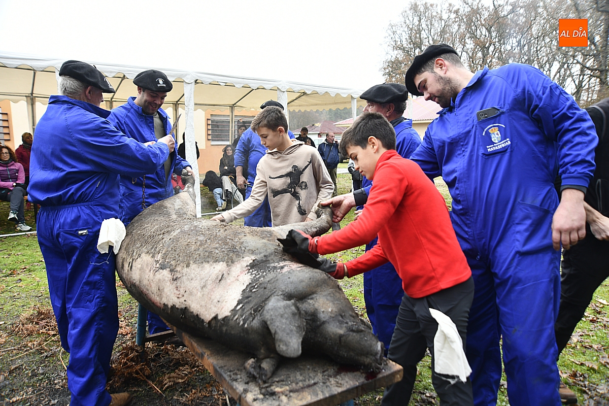 La lluvia no deslució la tradicional Matanza del Cerdo en Navasfrías