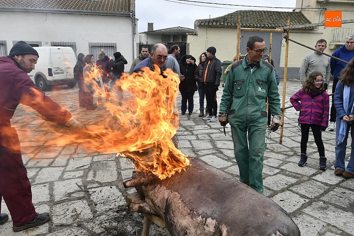 Matanza tradicional del cerdo en Villar de la Yegua/ Fotos: Adrián M.Pastor