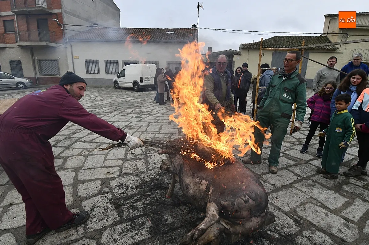 Matanza tradicional del cerdo en Villar de la Yegua/ Fotos: Adrián M.Pastor
