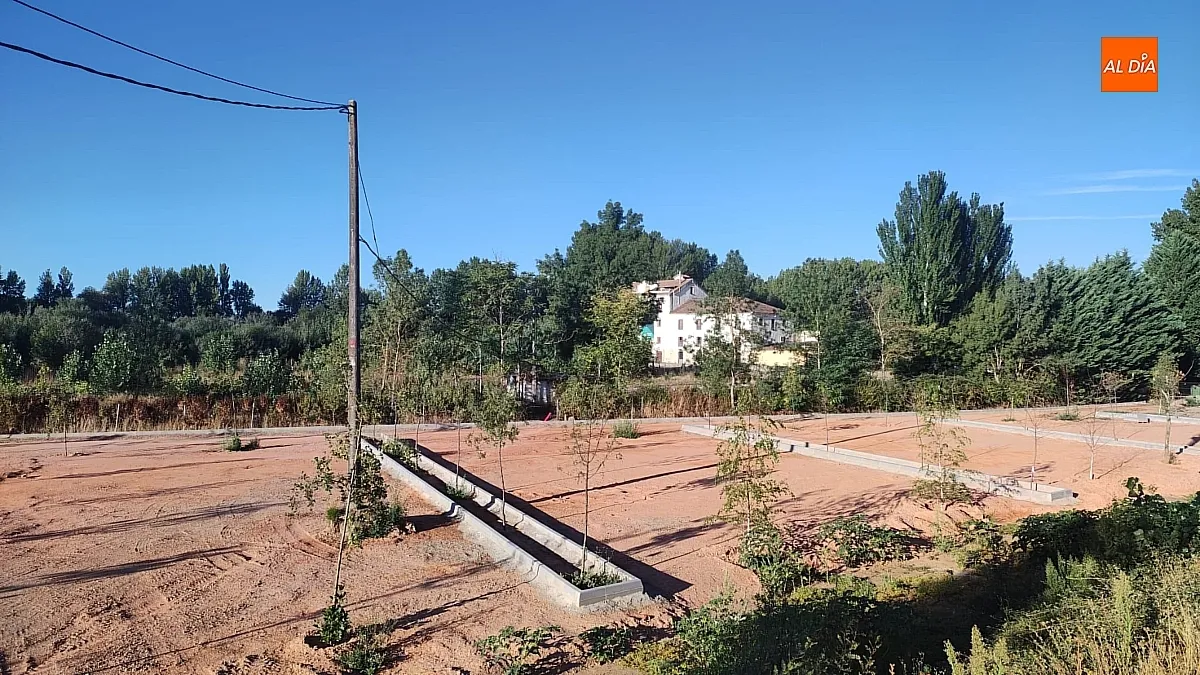 Foto 6 - Contin&uacute;an a buen ritmo las obras del colector en la alameda de "La Moretona"