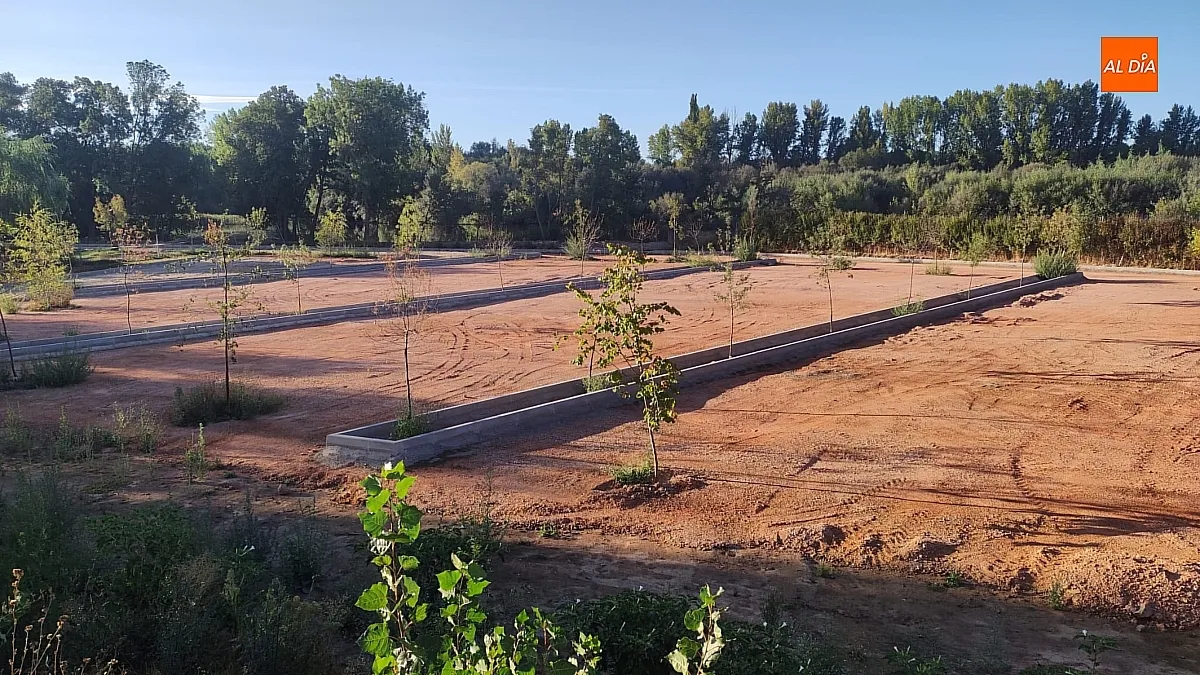 Foto 5 - Contin&uacute;an a buen ritmo las obras del colector en la alameda de "La Moretona"
