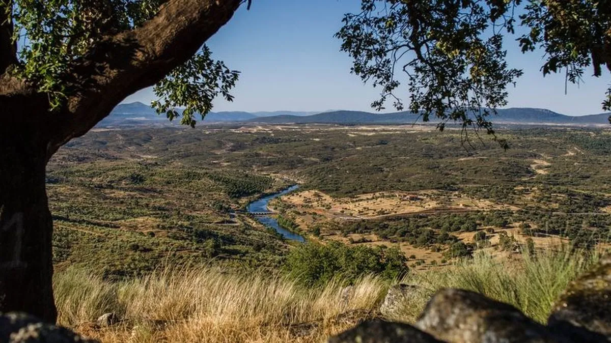 Mega central fotovoltaica quiere instalarse en la frontera con inversión millonaria que ocuparía cientos de hectáreas