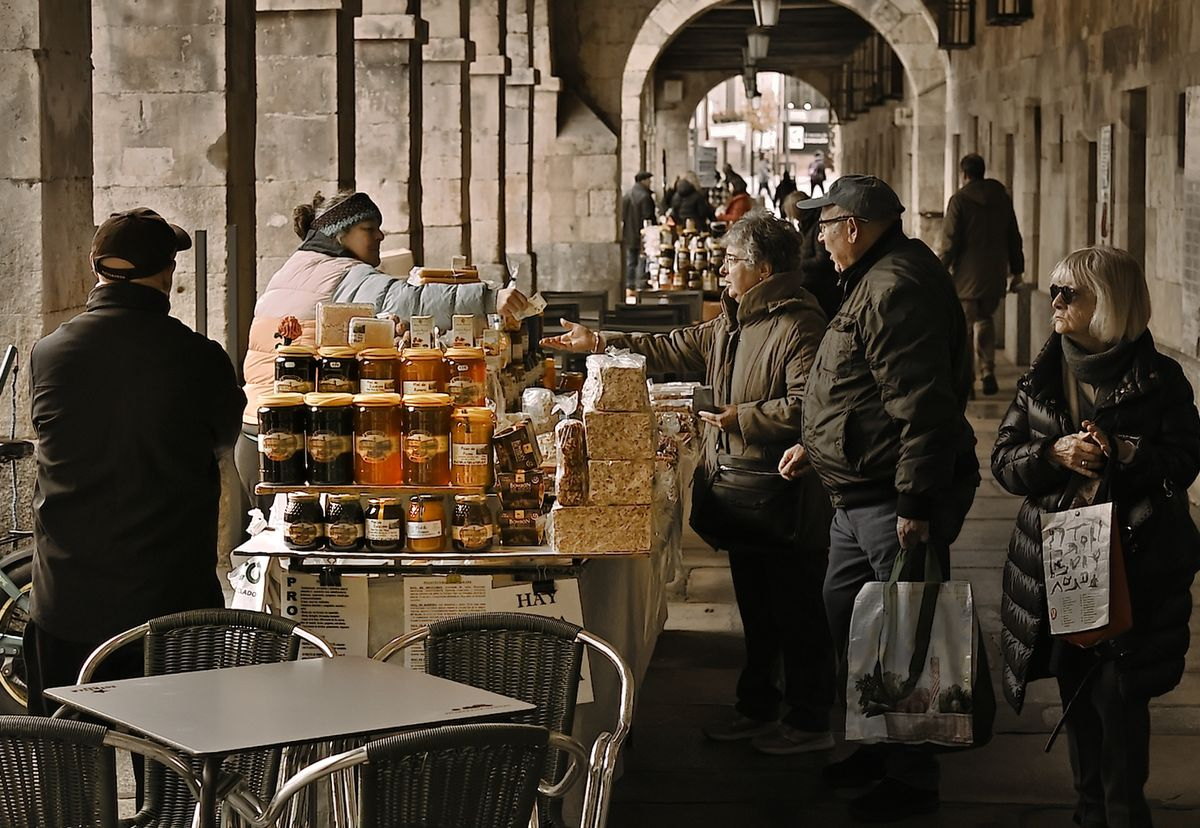 Portales de San Antonio, Salamanca