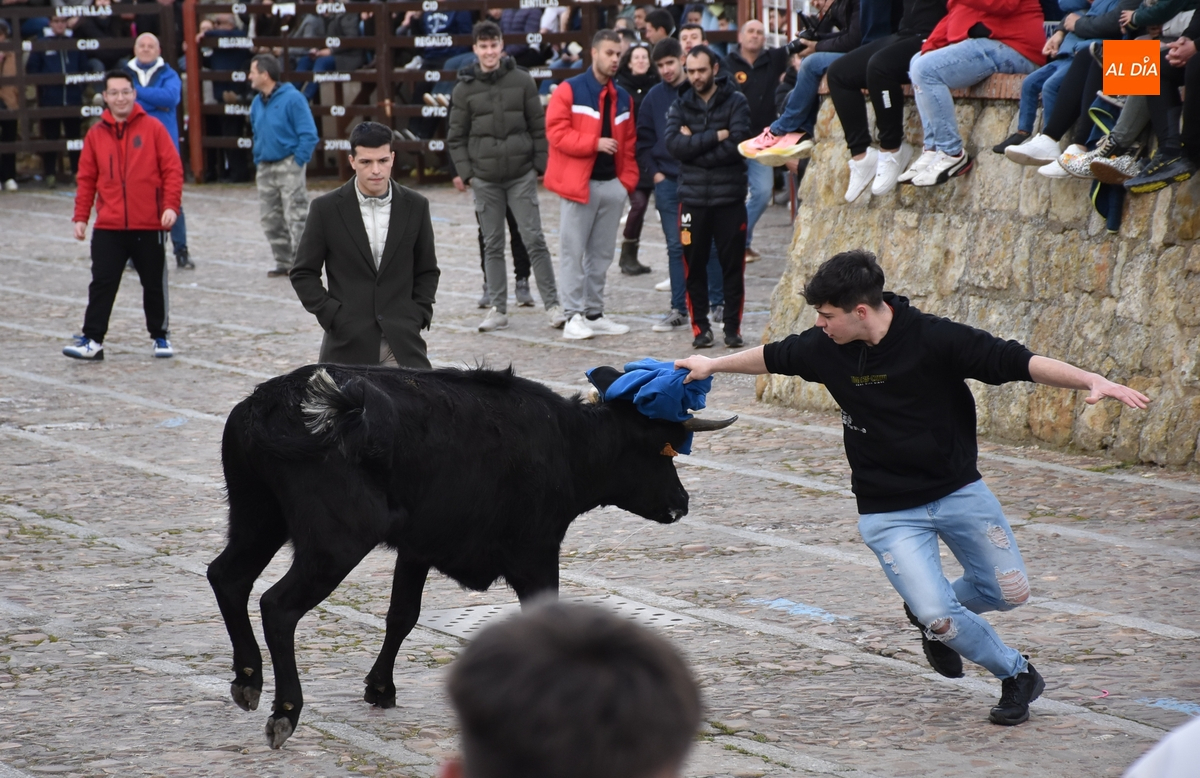 Ciudad Rodrigo licita la barra del Domingo de Piñata 2026