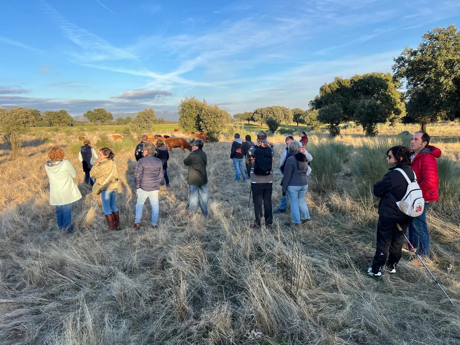 Foto 3 - Ganaderos salmantinos viajan a C&aacute;ceres para conocer un modelo de dehesa regenerativa